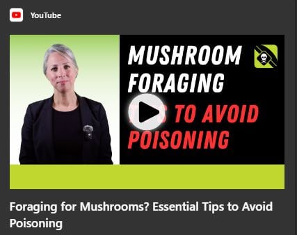 Foraging for Mushrooms - Essential Tips to Avoid Poisoning..JPG